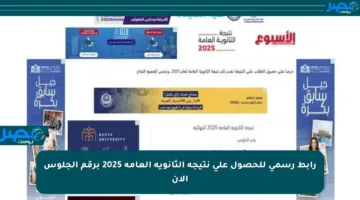 رابط رسمي للحصول على نتيجة الثانوية العامة 2025 برقم الجلوس الآن
